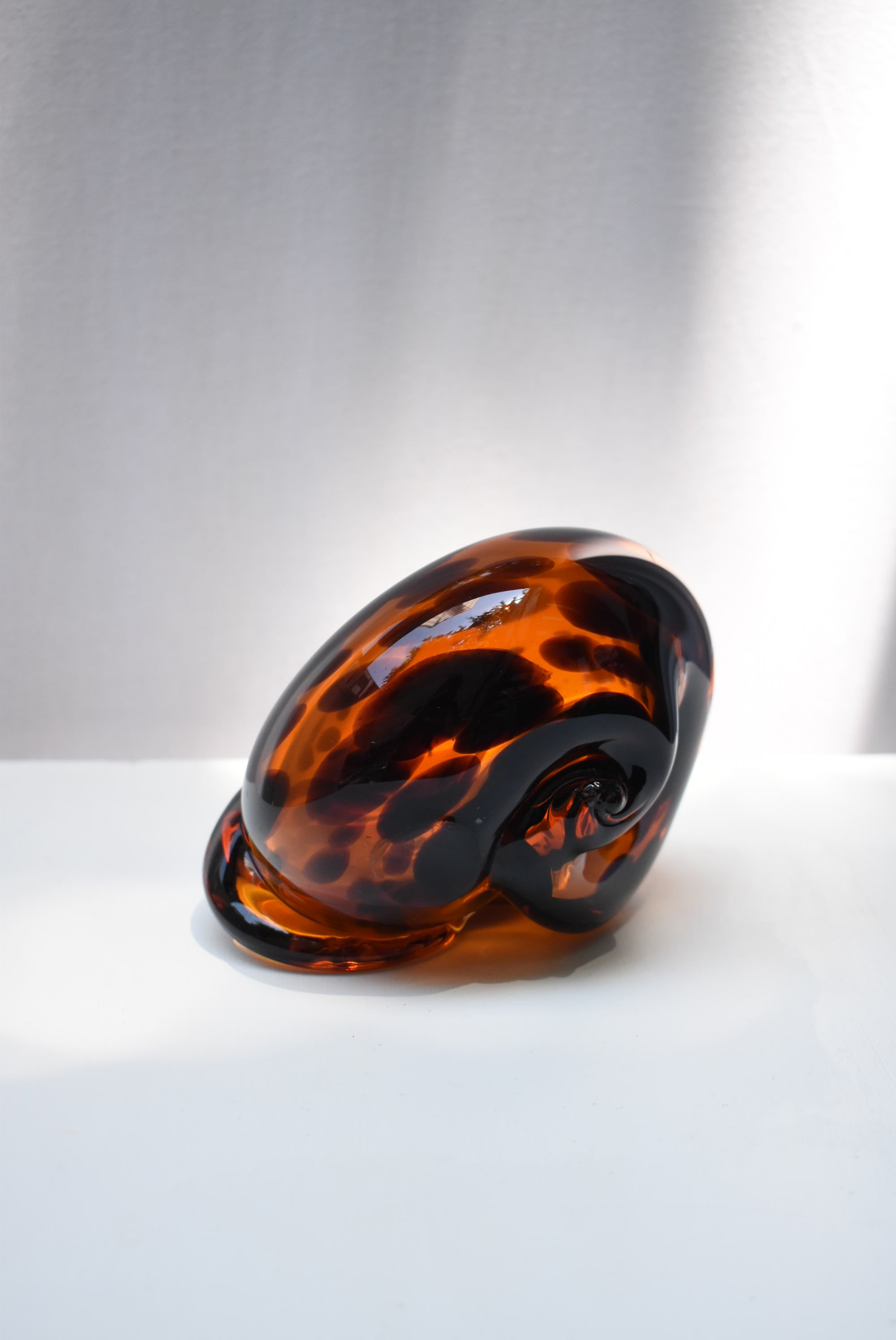 Tortoise Glass Shell