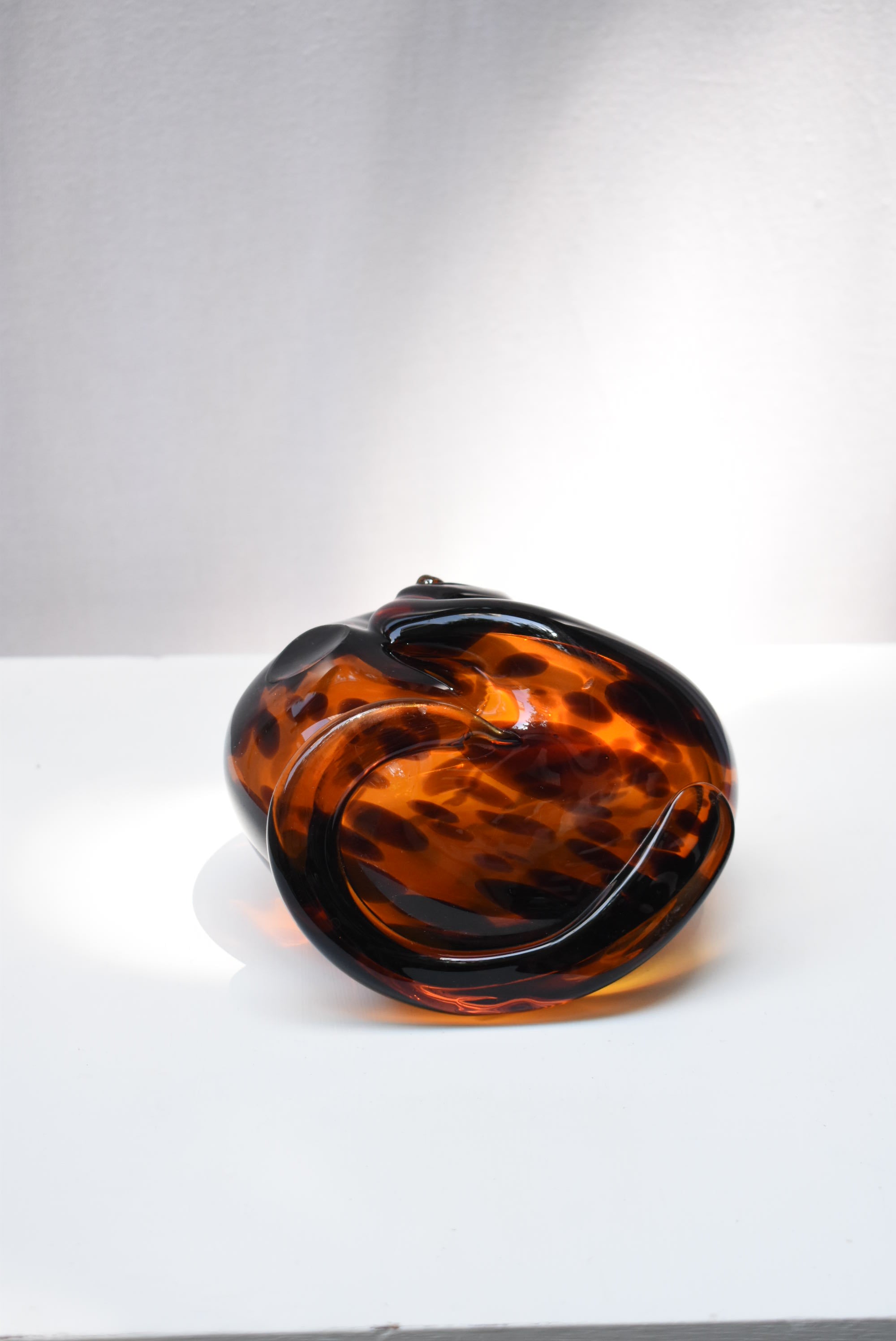 Tortoise Glass Shell