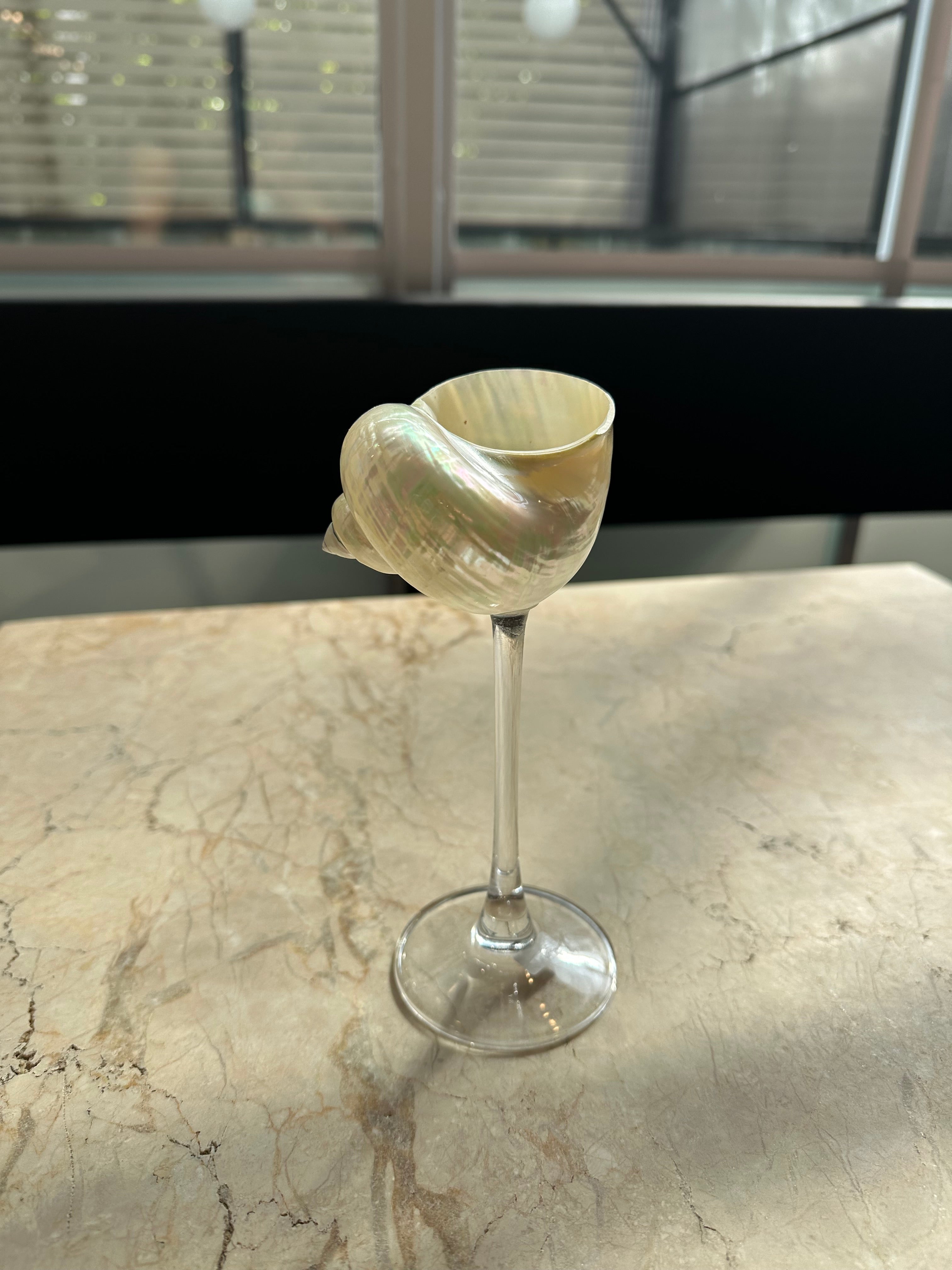 Sea Shell Glass