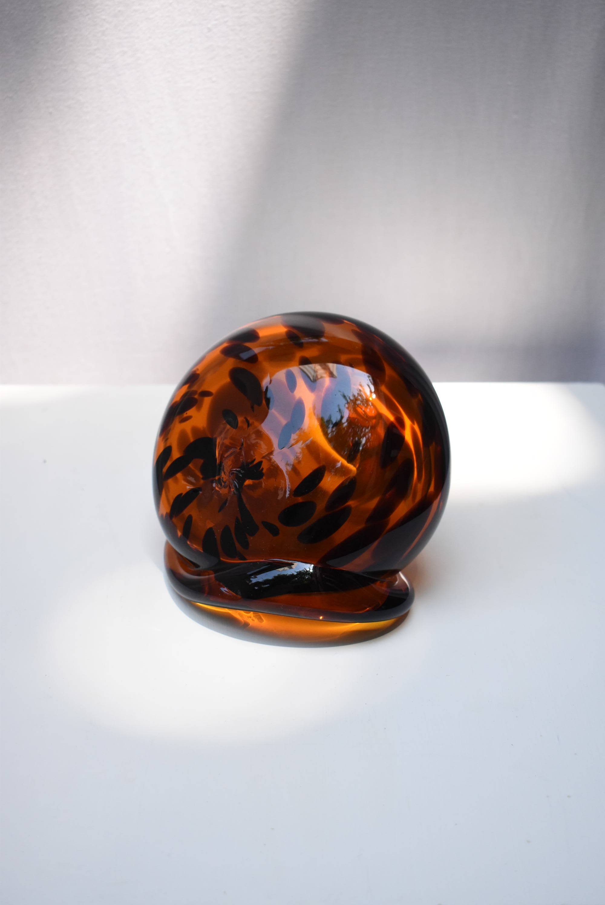 Tortoise Glass Shell